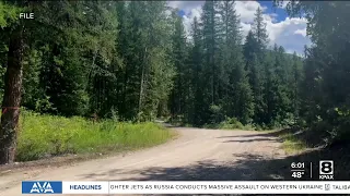 Preliminary report on August 12 fatal plane crash at Ryan Airfield released