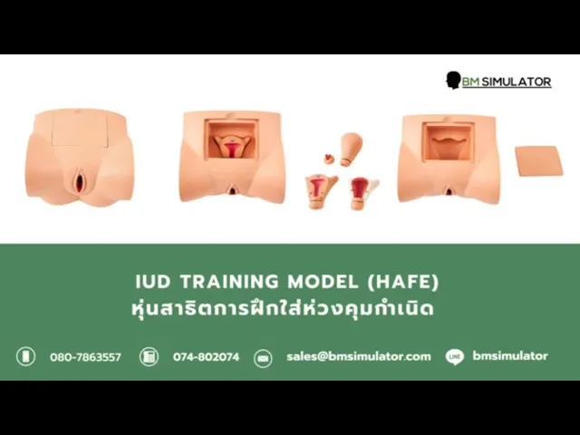 OG032 หุ่นฝึกการใส่ห่วงคุมกำเนิด   / IUD Training Model