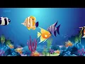 12 Hours Bedtime Lullaby and Relaxing Undersea Animation: Baby Sleep Music ♫ Calming Baby Lullabies