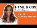 HTML CSS Tutorial for Beginners - 13