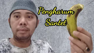 Download SEGERA PELIHARA PISANG SEPERTI INI TERHINDAR DARI SANTET MP3