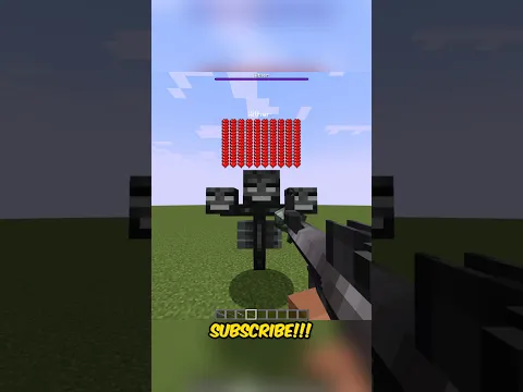 How Many BULLETS Does It Take To Kill the WITHER ?  part 2.