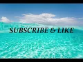 Darkness Always Wins- Halestorm- Official Music -Lyrics