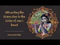 Lagu Attracting the Kṛṣṇa Bee to the Lotus of one’s heart | New Goloka Dham | Amarendra Dāsa