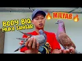 Download Lagu TES MERPATI BARU YANG BELI KEMARIN MUMPUNG GIRING