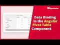 Data Binding in the Angular Pivot Table Component