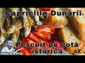 Download Lagu Capriciile Dunării. Pescuit pe cotă istorică