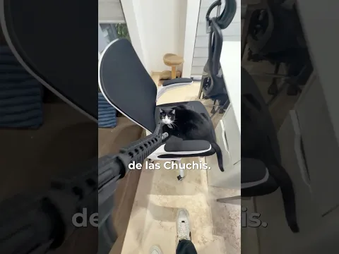 La solución a la suecidad de las mascotas