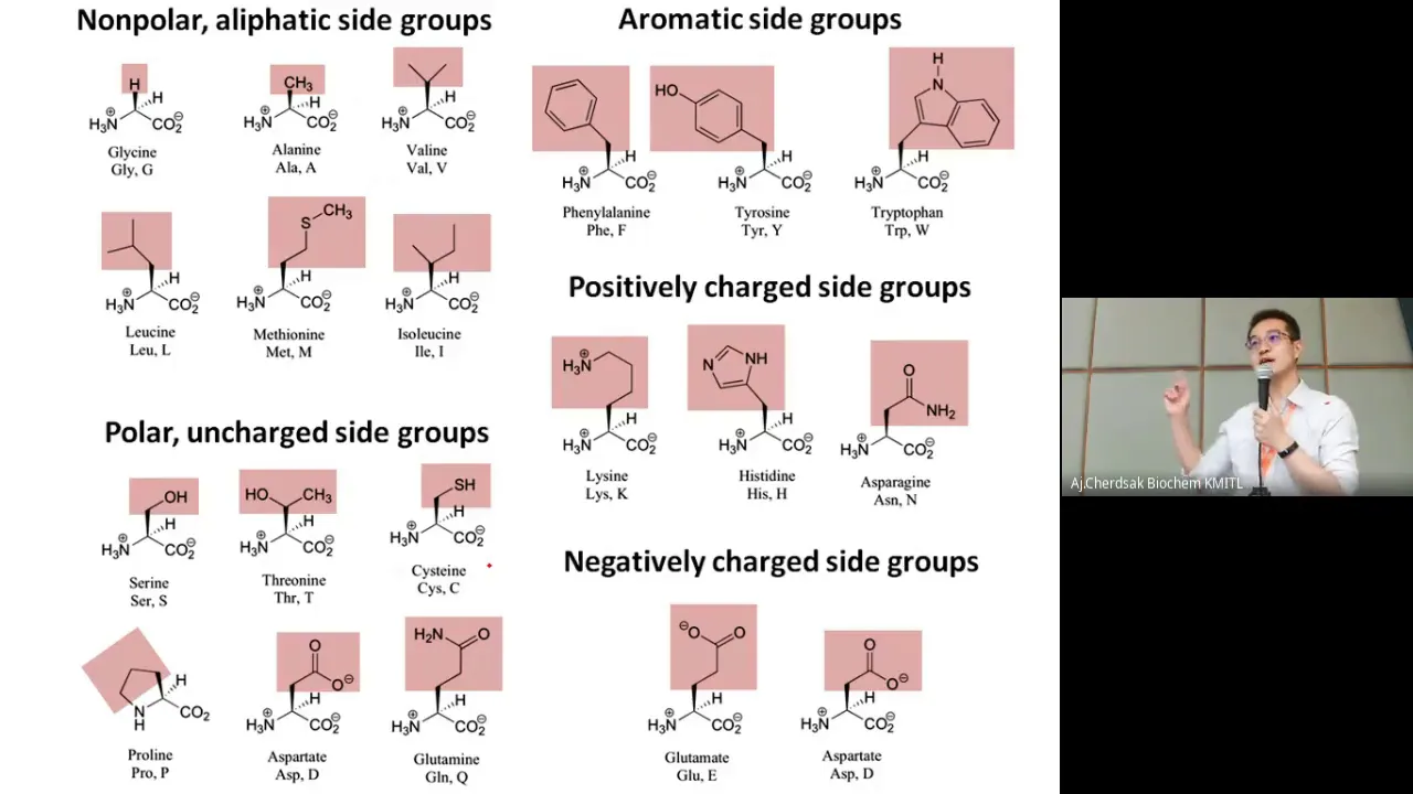 2. Amino acid, Protein structure, Function and Enzyme ชีวเคมีลาดกระบัง