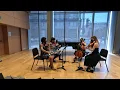You Belong With Me by Taylor Swift String Quartet
