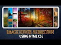 Html css image card hover effect Image hover effect learnwithcode102