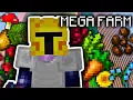 How to build a fully infinite MEGA FARM for every crop in 2026 Hypixel Skyblock guide
