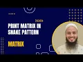 Print Matrix in Snake Pattern