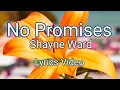 Download Lagu No Promises - Shayne Ward (Lyrics Video)