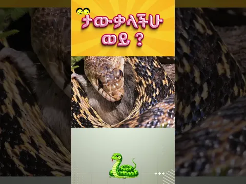 ታውቃላችሁ ወይ_ Ye Ethiopia Lijoch |የኢትዮጵያ ልጆች/temari bet/