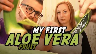 Mangosteen Fruit and Pomesteen Juice - explanation and overview. Quite interesting findings about ma. 