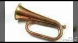 عزف على الة البروجى 