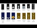 Every US Police Ranks in Metropolitan state Sheriff s departments