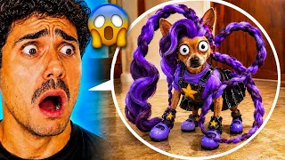 IL NOSTRO CANE È LILY LOVEBRAIDS! 😱 (POPPY PLAYTIME)