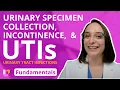 Download Lagu Urinary Specimen Collection, Incontinence, and UTI's - Fundamentals of Nursing | @LevelUpRN