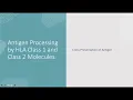 Antigen Processing by Class 1 and Class 2 Molecules