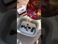 Spa services now at your