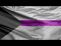 Demisexual Flag