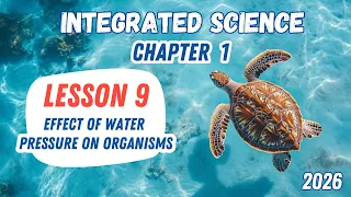 Integrated Science Sec 1 Chapter 1 Lesson 9 