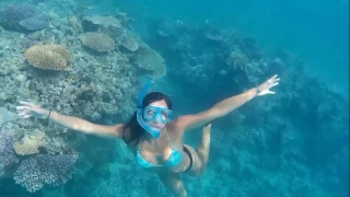 Sailing into freedom – Episode 28 I’m back from the reef!