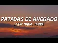 Download Lagu LATIN MAFIA, Humbe - Patadas de Ahogado (Letra/Lyrics)