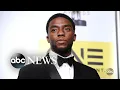 How Chadwick Boseman s Black Panther changed the world A Tribute for a King Part 2