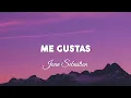 Me Gustas - Joan Sebastian - Letra