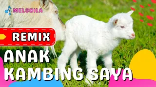 lagu anak kambing saya remix lagu anak balita