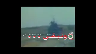 تحت الارز تجمعنا دندنها