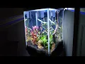 Aquarium Update Top Fin Fascinate 10 gallon tank