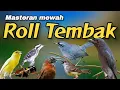 Download Lagu MATERI ROLL TEMBAK MEWAH‼️Masteran Gampang Masuk#masteranburung #pancinganburung