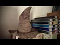 Talking Sorting Hat Unboxing