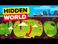 World s Largest Cave Has Its Own Forest River and Even Clouds