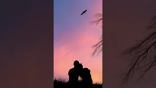 ليلة خميس Laylat Khamees ديو حب بين زوج وزوجته 