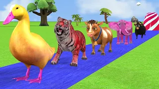 Long Slide Game With Cow Bull Lion Hippo - Paint Animals crossing fountain - Funny 3d Animals 841
