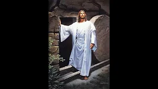 is jesus god mike licona vs shabir ally