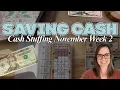 Lagu Saving money easy using cash | Cash Stuffing Money Binders | November Week 2 | How to use cash