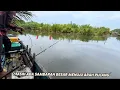 Download Lagu Sebelum Pulang Masih Ada Sambaran Besar. #fishing