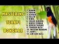 Download Lagu 🔴 KOMBINASI MASTERING TERBAIK MURAI BATU TROTOL GACOR
