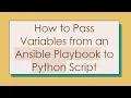 How to Pass Variables from an Ansible Playbook to Python Script