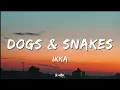 Dogs & Snakes - Ikka | Lyrics 