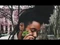 Download Lagu Nesta- I love leaves (Audio)