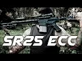 Knight s Armament SR25 ECC In A Class Of Its Own RedWolf Airsoft RWTV