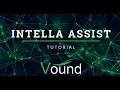 AI eDiscovery Intella Assist Tutorial eDiscovery software