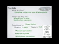 SCI7 - Protists